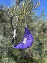 Sac banane - Fleuri & Coton Uni